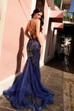 Nox Anabel Evening Gown C1416