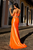 Nox Anabel Evening Gown E1279