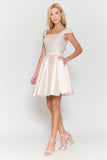 Poly USA Dama Dress 8732