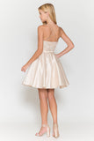Poly USA  Dama Dress 8730