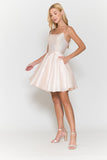 Poly USA  Dama Dress 8730