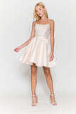 Poly USA  Dama Dress 8730