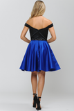 Poly USA Dama Dress 8532