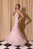 Eureka Evening Gowns 9696