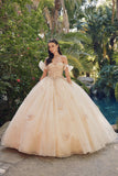 Juliet Quinceañera Dress JT1448J