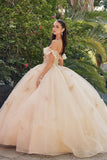 Juliet Quinceañera Dress JT1448J