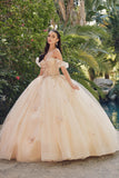 Juliet Quinceañera Dress JT1448J