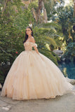 Juliet Quinceañera Dress JT1448J