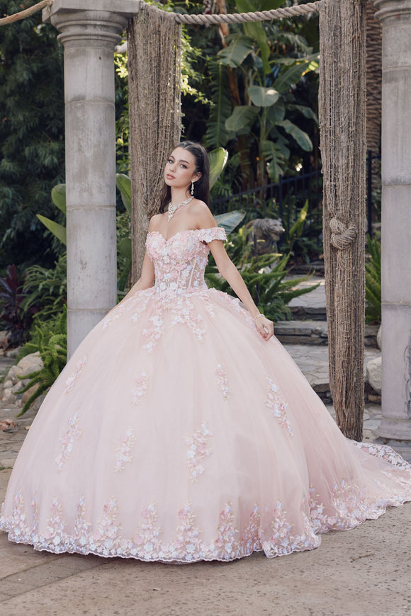 Juliet Quinceañera Dress JT1460J
