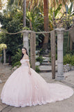 Juliet Quinceañera Dress JT1460J