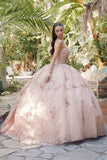 Juliet Quinceañera Dress JT1450J