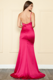 Poly USA Evening Gown 9030