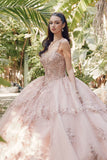 Juliet Quinceañera Dress JT1450J