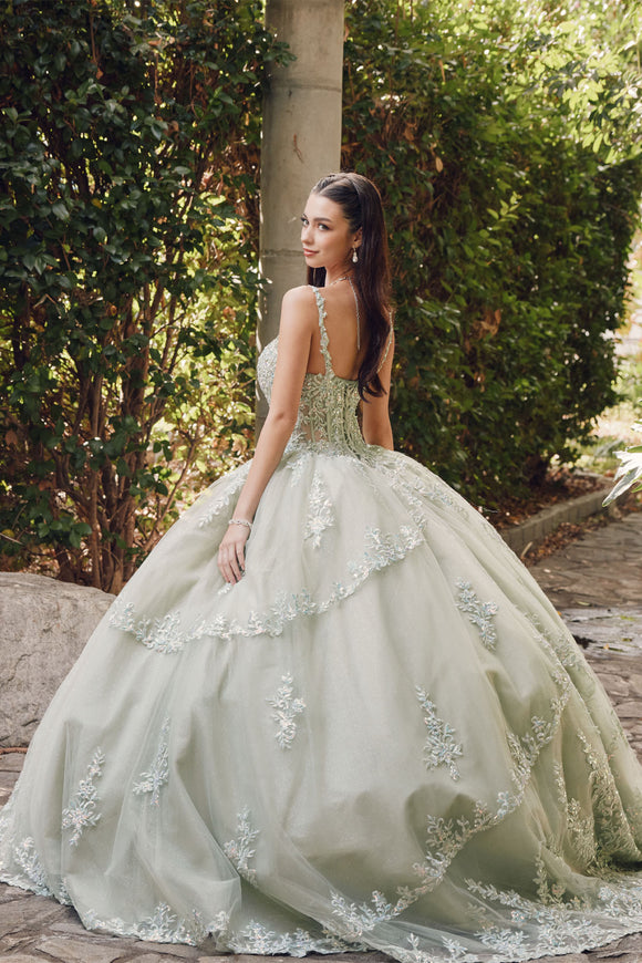 Juliet Quinceañera Dress JT1450J