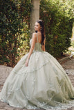 Juliet Quinceañera Dress JT1450J
