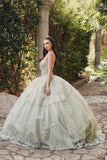 Juliet Quinceañera Dress JT1450J