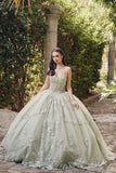 Juliet Quinceañera Dress JT1450J