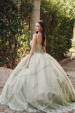 Juliet Quinceañera Dress JT1450J