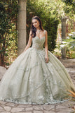 Juliet Quinceañera Dress JT1450J