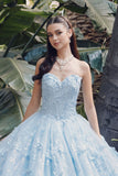 Juliet Quinceañera Dress JT1449J