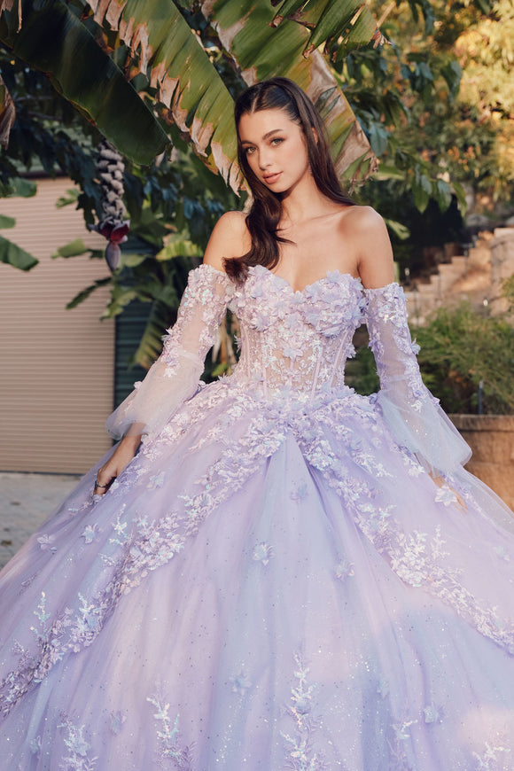 Juliet Quinceañera Dress JT1459J