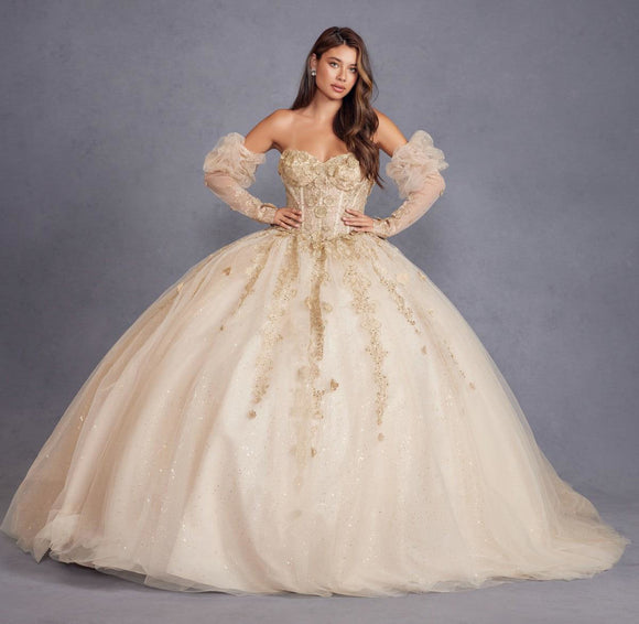 Juliet Quinceañera Dress JT1465H