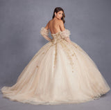 Juliet Quinceañera Dress JT1465H