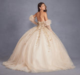 Juliet Quinceañera Dress JT1465H