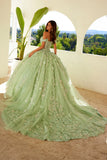 Juliet Quinceañera Dress JT1485J