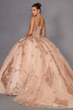 Juliet Quinceañera Dress JT1485J