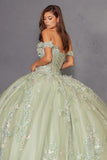 Juliet Quinceañera Dress JT1485J