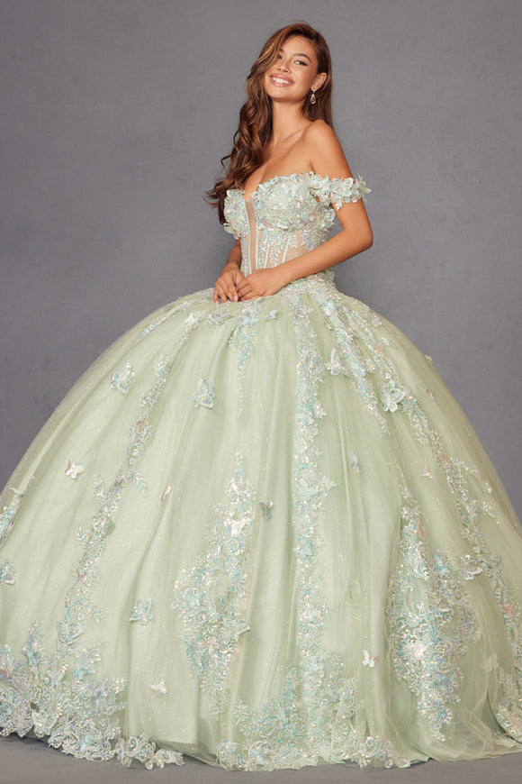 Juliet Quinceañera Dress JT1485J