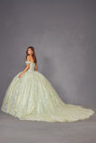 Juliet Quinceañera Dress JT1485J