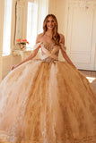 Juliet Quinceañera Dress JT1488H