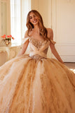 Juliet Quinceañera Dress JT1488H