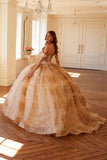 Juliet Quinceañera Dress JT1488H