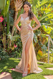 GLS Collective Evening Gown 3030