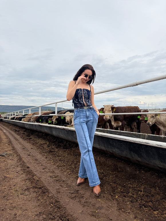 Regina Denim Corcet Top