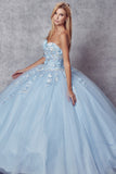 Juliet Quinceañera  Dress JT1435