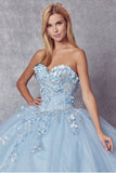 Juliet Quinceañera  Dress JT1435