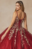 Juliet Quinceañera Dress JT1442