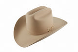 Stetson 6x Palacio II Silverbelly Cowboy Felt Hat