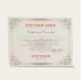 Stetson El Presidente 100x Premier Cowboy Hat Silverbelly