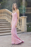 Juliet Evening Gown JT2406