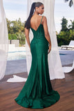 LaDivine by Cinderella Divine Evening Gown CD818