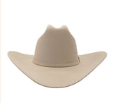 Stetson 6x Palacio II Silverbelly Cowboy Felt Hat