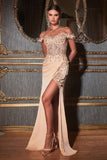 LaDivine by Cinderella Divine Evening Gown CD0186