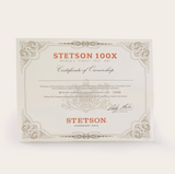 Stetson El Presidente 100X Premier Cowboy Hat Black