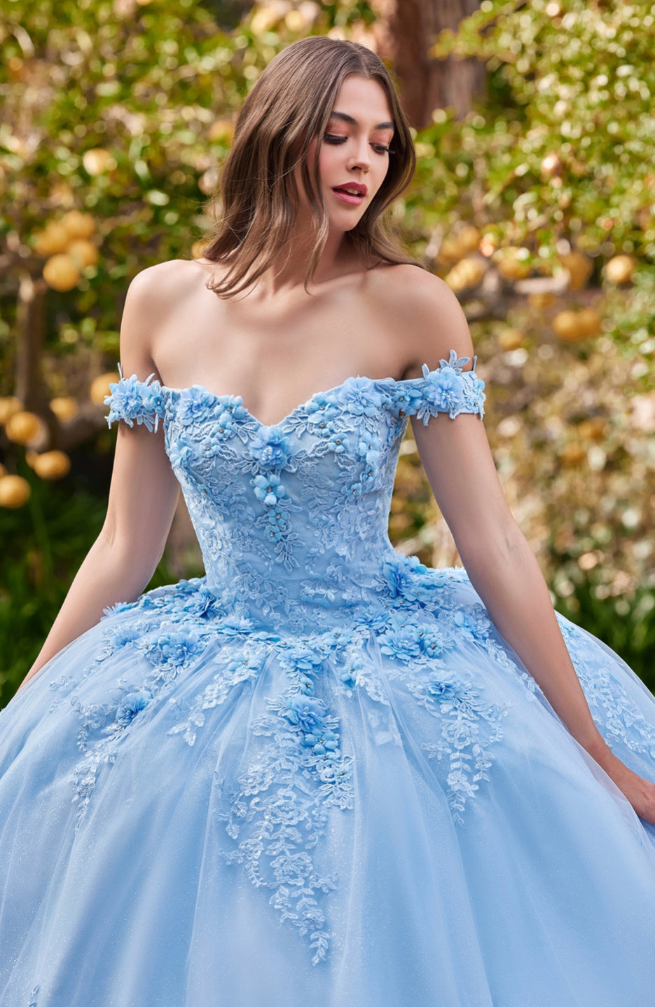Wedding Light Blue Cinderella Dress Cinderella Gown Cinderella Couture Usa Vestidos Cinderella Couture 8070J Long Quinceanera Wedding Light Blue Cinderella Dress Cinderella Gown Cinderella Couture Usa Vestidos Cinderella Couture 8070J Long Quinceanera