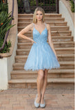 Dancing Queen Dama Dress 3316